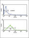 Fortilin antibody, LS-C160151, Lifespan Biosciences, Flow Cytometry image 