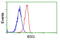 Basigin (Ok Blood Group) antibody, GTX84798, GeneTex, Flow Cytometry image 