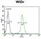 Protein BEX1 antibody, abx025859, Abbexa, Flow Cytometry image 