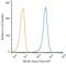 Scavenger Receptor Class B Member 1 antibody, NB400-104AF647, Novus Biologicals, Flow Cytometry image 