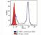 CD5 Molecule antibody, 33-084, ProSci, Flow Cytometry image 