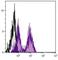 Killer Cell Lectin Like Receptor D1 antibody, NBP1-28121, Novus Biologicals, Flow Cytometry image 