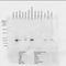 Crystallin Alpha B antibody, orb95880, Biorbyt, Western Blot image 