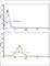 Epsin 3 antibody, abx032851, Abbexa, Western Blot image 