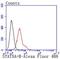 Signal Transducer And Activator Of Transcription 5A antibody, NBP2-67871, Novus Biologicals, Flow Cytometry image 