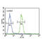 S100 Calcium Binding Protein B antibody, abx032400, Abbexa, Flow Cytometry image 