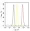 Junctophilin-1 antibody, 40-5100, Invitrogen Antibodies, Flow Cytometry image 