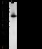 Aldehyde Dehydrogenase 1 Family Member A1 antibody, GTX02139, GeneTex, Western Blot image 