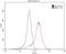 Transient Receptor Potential Cation Channel Subfamily V Member 4 antibody, 20987-1-AP, Proteintech Group, Flow Cytometry image 