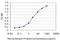 Signal Regulatory Protein Alpha antibody, H00140885-M01, Novus Biologicals, Enzyme Linked Immunosorbent Assay image 