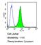 Cell Division Cycle 37 antibody, MA3-029, Invitrogen Antibodies, Flow Cytometry image 
