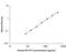 Colony Stimulating Factor 1 antibody, DMC00B, R&D Systems, Enzyme Linked Immunosorbent Assay image 