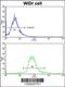 Ketone-aldehyde mutase antibody, 62-380, ProSci, Flow Cytometry image 