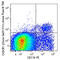 C-X3-C Motif Chemokine Receptor 1 antibody, 149036, BioLegend, Flow Cytometry image 