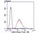 Lysyl Oxidase Like 2 antibody, NBP2-75559, Novus Biologicals, Flow Cytometry image 