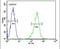 Potassium Voltage-Gated Channel Modifier Subfamily V Member 1 antibody, PA5-25687, Invitrogen Antibodies, Flow Cytometry image 