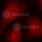 Histone Deacetylase 8 antibody, AP0360, ABclonal Technology, Immunofluorescence image 