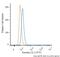 Baculoviral IAP Repeat Containing 5 antibody, NB500-237, Novus Biologicals, Flow Cytometry image 