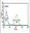 RAB27B, Member RAS Oncogene Family antibody, PA5-24908, Invitrogen Antibodies, Flow Cytometry image 