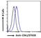 Serine/Threonine Kinase 35 antibody, PA5-18247, Invitrogen Antibodies, Flow Cytometry image 