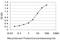 Ribosomal Protein S6 Kinase B2 antibody, H00006199-M08, Novus Biologicals, Enzyme Linked Immunosorbent Assay image 