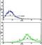 T-cell surface glycoprotein CD8 beta chain antibody, PA5-11496, Invitrogen Antibodies, Flow Cytometry image 