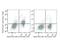 CD28 antibody, LS-C812225, Lifespan Biosciences, Flow Cytometry image 