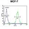 UPF2 Regulator Of Nonsense Mediated MRNA Decay antibody, abx025853, Abbexa, Western Blot image 