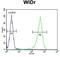 Favine antibody, GTX81055, GeneTex, Flow Cytometry image 