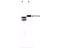 Alpha 2-HS Glycoprotein antibody, NBP1-02754, Novus Biologicals, Western Blot image 