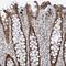 Epithelial Cell Transforming 2 Like antibody, HPA035488, Atlas Antibodies, Immunohistochemistry paraffin image 