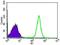 Negative Elongation Factor Complex Member A antibody, GTX60733, GeneTex, Flow Cytometry image 