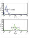 Hydroxysteroid 17-Beta Dehydrogenase 3 antibody, abx034402, Abbexa, Flow Cytometry image 