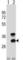 CD79b Molecule antibody, abx028989, Abbexa, Western Blot image 