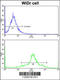 Protein Disulfide Isomerase Family A Member 3 antibody, 61-600, ProSci, Immunofluorescence image 