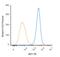 Interferon Regulatory Factor 5 antibody, NBP1-04307, Novus Biologicals, Flow Cytometry image 