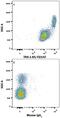 Basigin (Ok Blood Group) antibody, MAB3195, R&D Systems, Flow Cytometry image 
