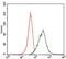 MAP2 antibody, GTX60608, GeneTex, Flow Cytometry image 