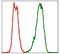 PDZ Binding Kinase antibody, GTX60560, GeneTex, Flow Cytometry image 