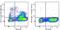 c-Kit antibody, 155108, BioLegend, Flow Cytometry image 