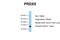 Prdx6 antibody, NBP1-58348, Novus Biologicals, Western Blot image 