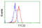 Tetratricopeptide Repeat Domain 32 antibody, GTX83482, GeneTex, Flow Cytometry image 