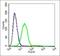 G Protein-Coupled Receptor 27 antibody, orb157342, Biorbyt, Flow Cytometry image 