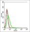 Cytochrome P450 Family 20 Subfamily A Member 1 antibody, orb156515, Biorbyt, Flow Cytometry image 