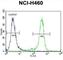 Nibrin antibody, abx026436, Abbexa, Western Blot image 