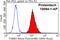 Tubulin beta antibody, 10094-1-AP, Proteintech Group, Flow Cytometry image 