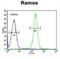 Tetratricopeptide Repeat Domain 9C antibody, abx026133, Abbexa, Flow Cytometry image 