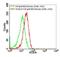 TLR13 antibody, NBP2-24539, Novus Biologicals, Flow Cytometry image 