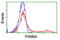 Proteasome Subunit Beta 4 antibody, TA503481, Origene, Flow Cytometry image 