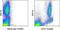 TNF Superfamily Member 9 antibody, 14-1579-82, Invitrogen Antibodies, Flow Cytometry image 